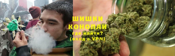 шишки Аркадак