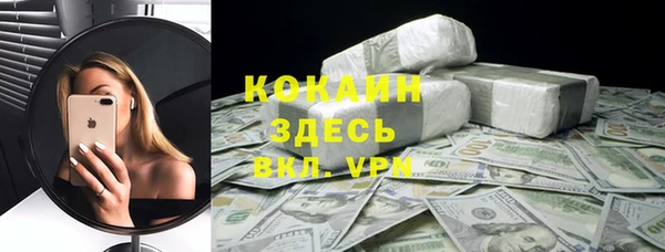 шишки Аркадак