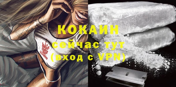 шишки Аркадак
