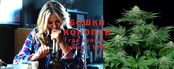 шишки Аркадак