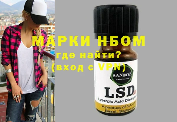 шишки Аркадак