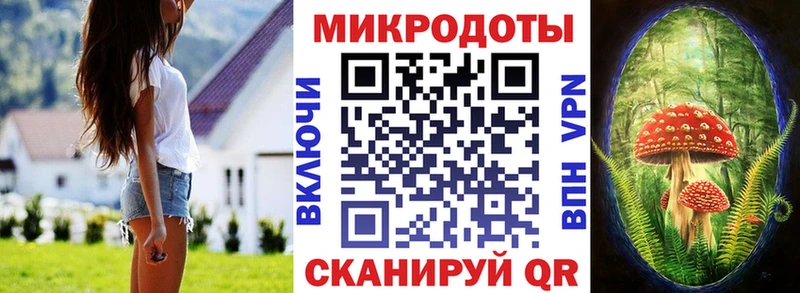 Псилоцибиновые грибы мицелий  Сурск 